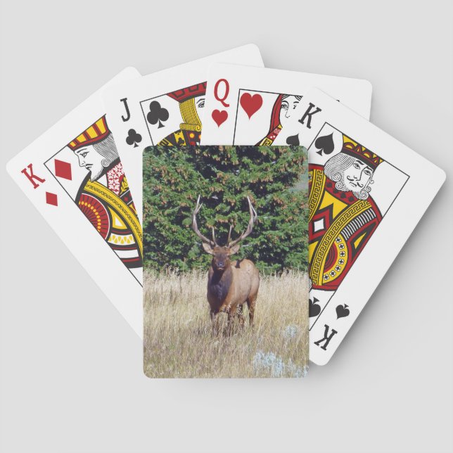 Baraja De Cartas Tarjetas de juego para bicicletas de alce de toro (Reverso)