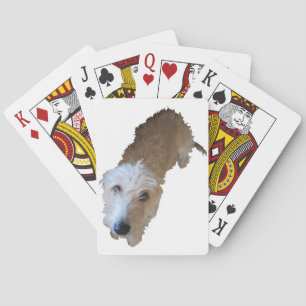 Baraja De Cartas Tarjetas de juego para perros desmenuzados