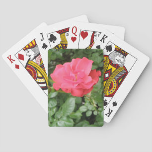 Baraja De Cartas Tarjetas de juego para Rosas silvestres