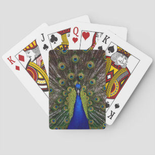 Baraja De Cartas Tarjetas de juego Proud Peacock