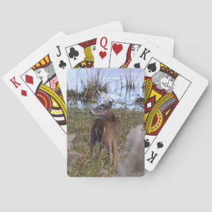 Baraja De Cartas Tarjetas de juego Whitetail Buck