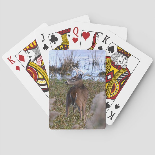 Baraja De Cartas Tarjetas de juego Whitetail Buck (Reverso)