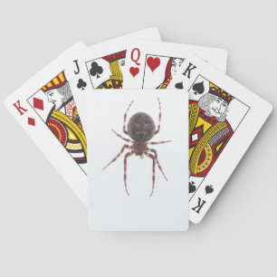 Baraja De Cartas Tarjetas de la araña