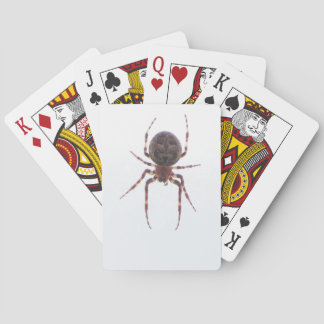 Baraja De Cartas Tarjetas de la araña