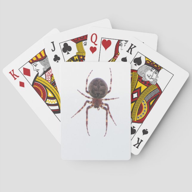 Baraja De Cartas Tarjetas de la araña (Reverso)