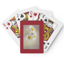 Tarjetas de la margarita