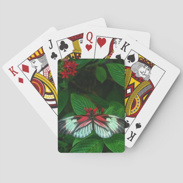 Baraja De Cartas tarjetas de póker (Reverso)