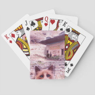 Baraja De Cartas Tarjetas de reproducción clásicas de estatus Cat S