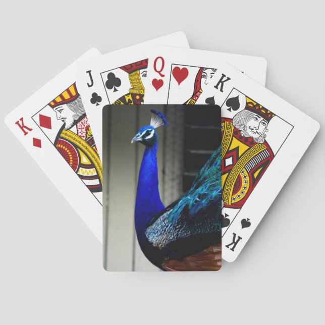 Baraja De Cartas Tarjetas de reproducción clásicas Peacock (Reverso)