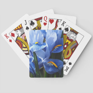 Baraja De Cartas Tarjetas de reproducción con iris azul Bonito