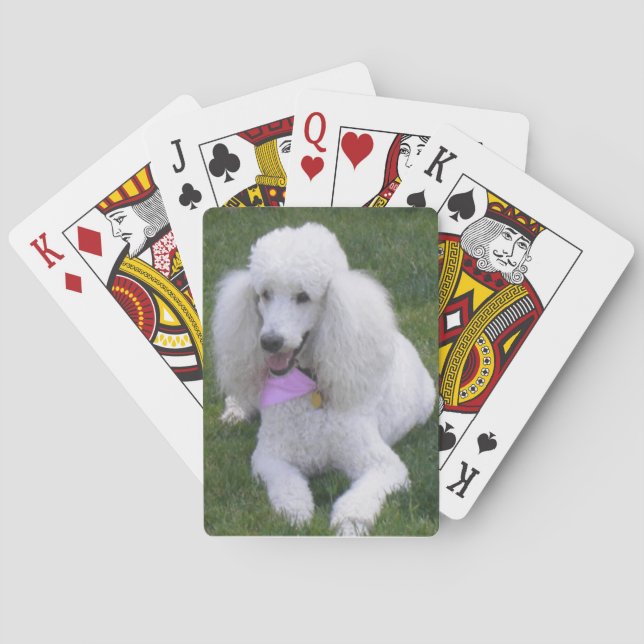 Baraja De Cartas Tarjetas de reproducción de canapé estándar blanco (Reverso)