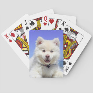 Baraja De Cartas Tarjetas de reproducción de fotografías Mascota pe