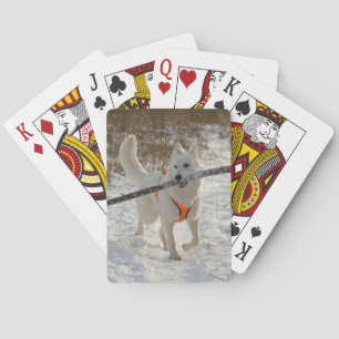 Baraja De Cartas Tarjetas de reproducción de fotos Mascota personal