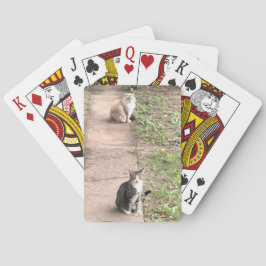 Baraja De Cartas Tarjetas de reproducción de gato
