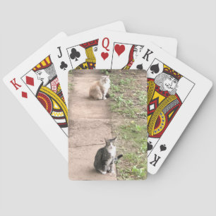 Baraja De Cartas Tarjetas de reproducción de gato