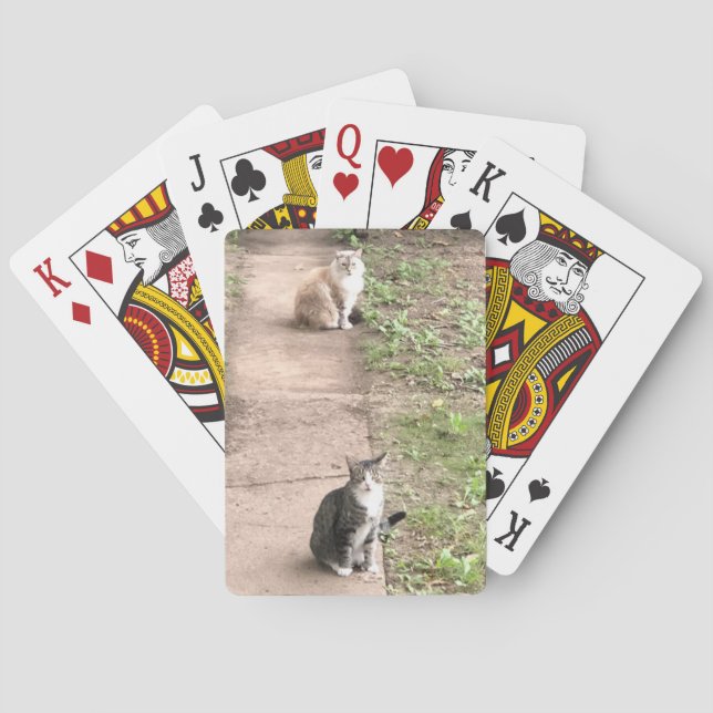 Baraja De Cartas Tarjetas de reproducción de gato (Reverso)
