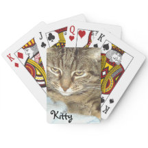 Tarjetas de reproducción de gato