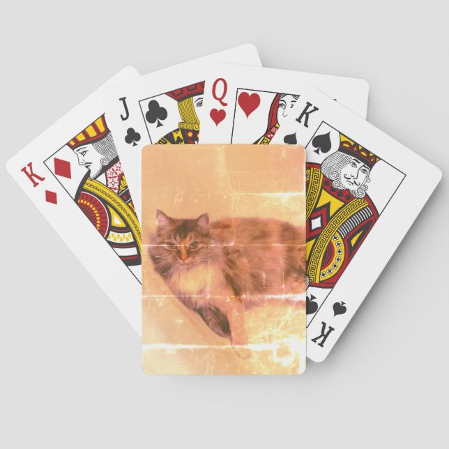 Baraja De Cartas Tarjetas de reproducción de gato (Reverso)