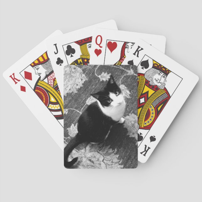 Baraja De Cartas Tarjetas de reproducción de gato (Reverso)