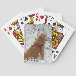 Baraja De Cartas Tarjetas de reproducción de Golden Retriever