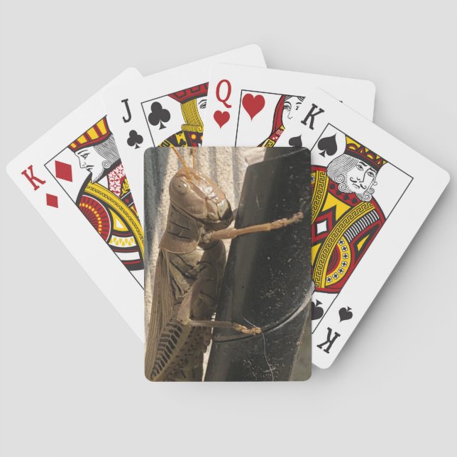 Baraja De Cartas Tarjetas de reproducción de Grasshopper (Reverso)