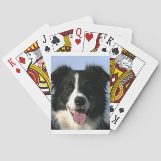 Baraja De Cartas Tarjetas de reproducción de perro collie de borde