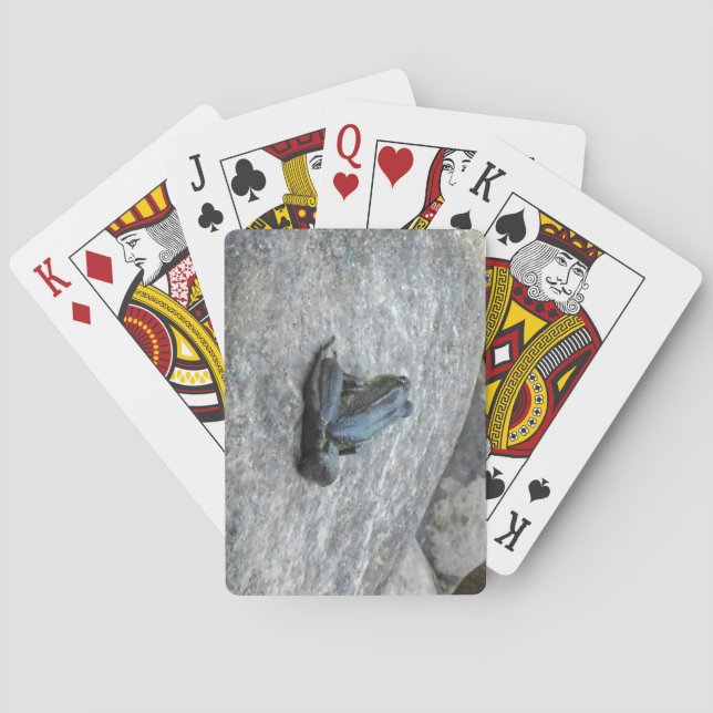 Baraja De Cartas Tarjetas de reproducción de rana (Reverso)
