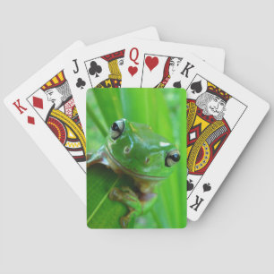 Baraja De Cartas Tarjetas de reproducción de rana de árbol verde
