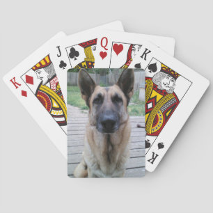 Baraja De Cartas Tarjetas de reproducción de Shepard alemanas