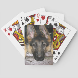 Baraja De Cartas Tarjetas de reproducción de Shepherd alemanas