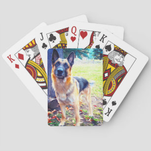 Baraja De Cartas Tarjetas de reproducción de Shepherd alemanas