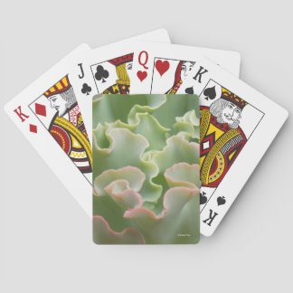 Baraja De Cartas Tarjetas de reproducción Green Plant Classic