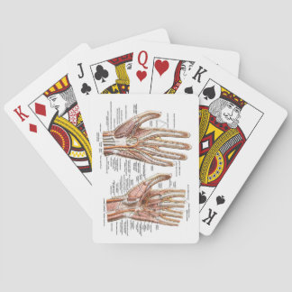 Baraja De Cartas Tarjetas de reproducción manual anatómica