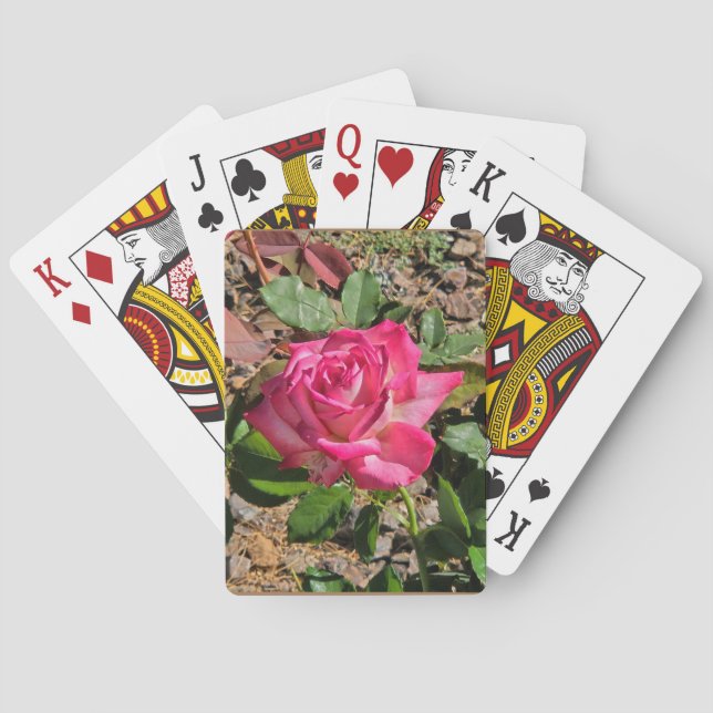 Baraja De Cartas Tarjetas de reproducción rosa rosa (Reverso)
