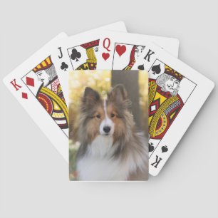 Baraja De Cartas Tarjetas de reproducción Sheltie