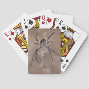 Baraja De Cartas Tarjetas de reproducción Spider