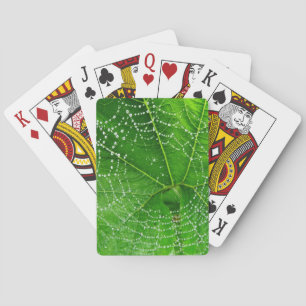 Baraja De Cartas Tarjetas de reproducción Spider Web Classic