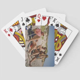 Baraja De Cartas Tarjetas de RWH Cribbage en la playa