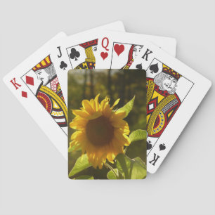 Baraja De Cartas Tarjetas del girasol