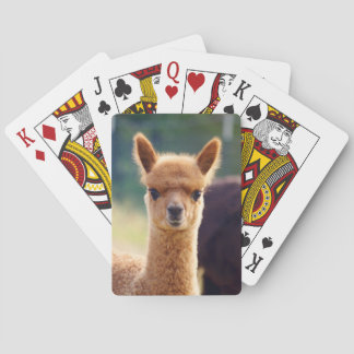 Baraja De Cartas Tarjetas para jugar en bicicleta de Alpaca