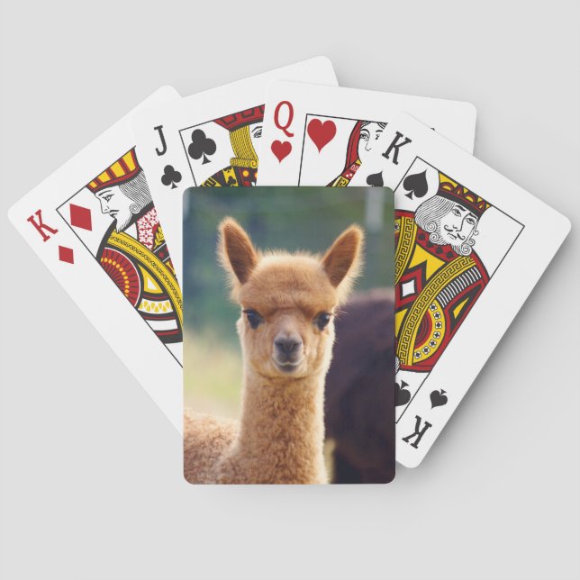 Baraja De Cartas Tarjetas para jugar en bicicleta de Alpaca (Reverso)