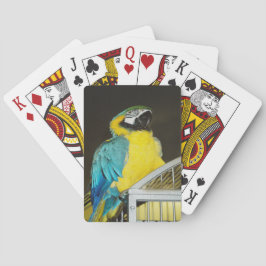 Baraja De Cartas Taz...