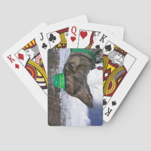 Baraja De Cartas ¡Te voy a correr!"