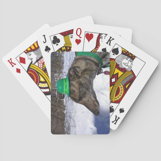 Baraja De Cartas ¡Te voy a correr!" (Reverso)