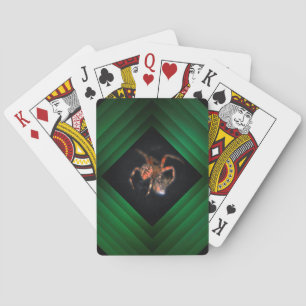 Baraja De Cartas tela de arañas