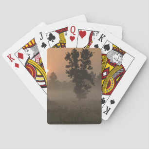 Baraja De Cartas Temprano por la mañana, sol naciente y niebla subt