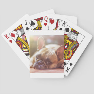 Baraja De Cartas tendido de bulldog francés