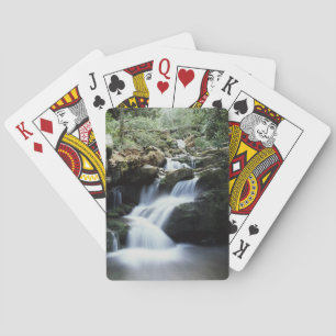 Baraja De Cartas Tennessee, Parque Nacional de las Grandes Montañas