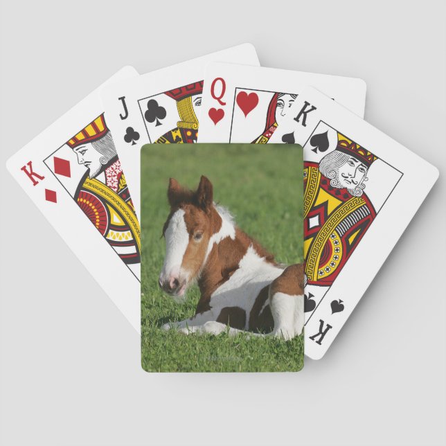 Baraja De Cartas Ternera en hierba (Reverso)