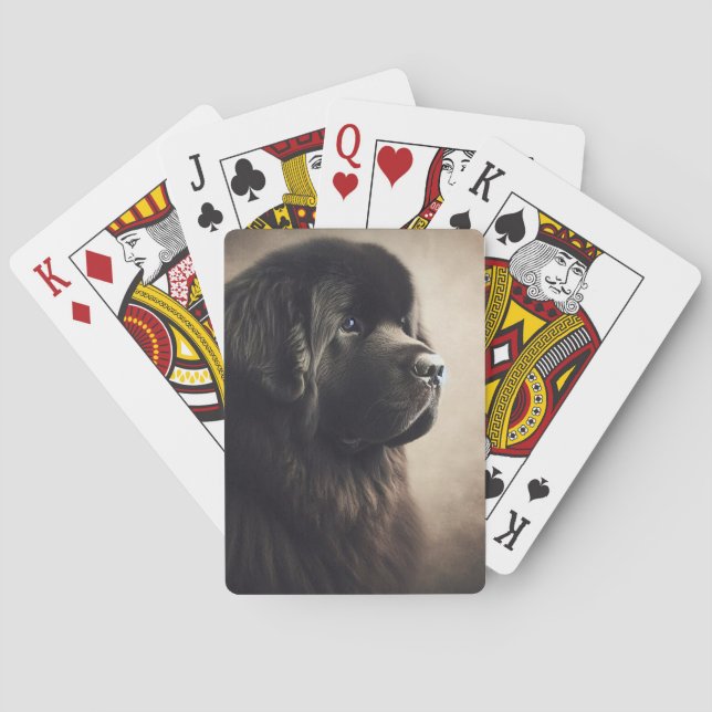 Baraja De Cartas Terranova (Reverso)